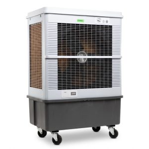 Frikko F8000P-CM Forte 120V